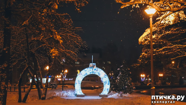 ���� 8: �������������� �������.