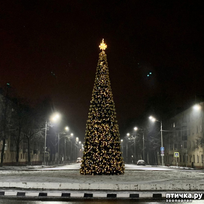 ���� 11: �������������� �������.