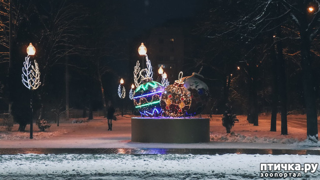 ���� 12: �������������� �������.