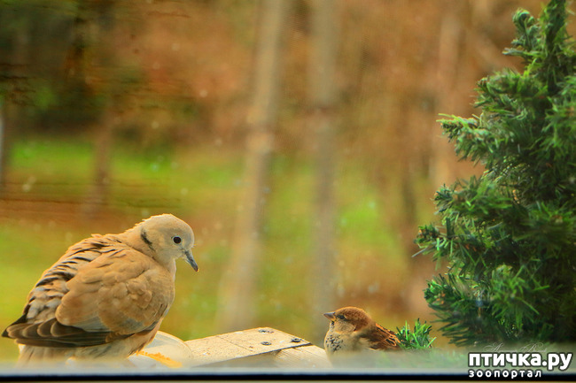 ���� 1: ����� ��������