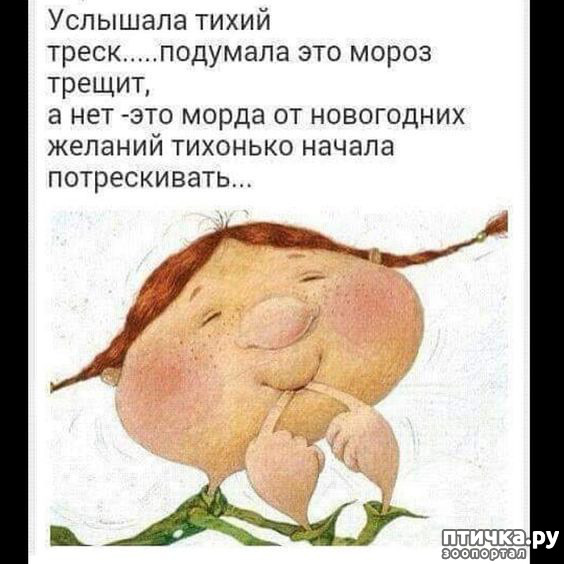 ���� 13: �������������� �������.