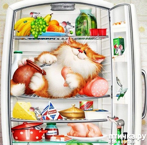 фотография: А как Ваша кошка относится к холодильнику? фото: А как Ваша кошка относится к холодильнику?