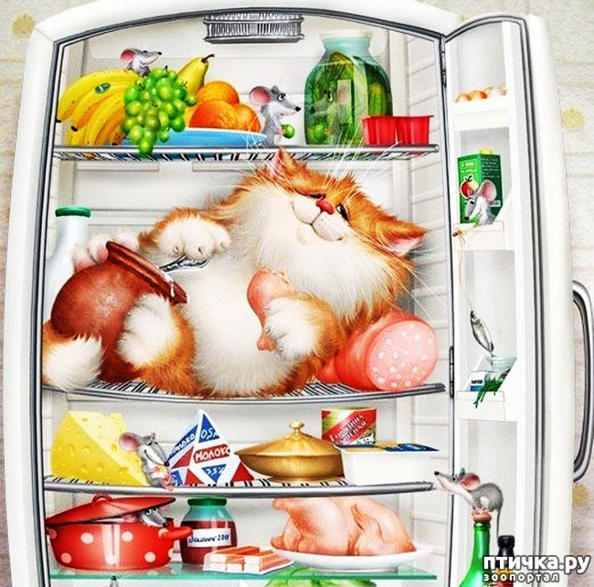 ���� 1: � ��� ���� ����� ��������� � ������������?