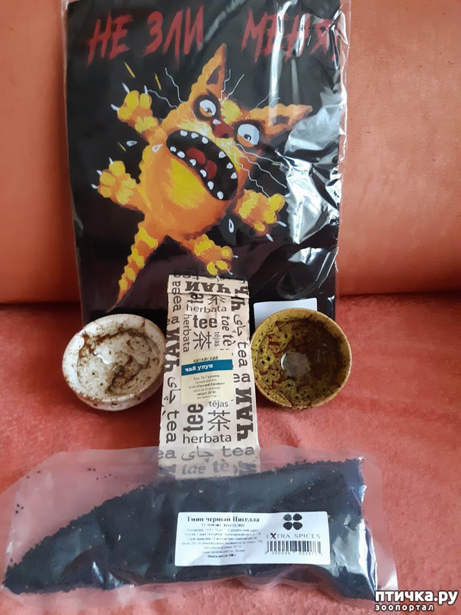 ���� 1: ��� �����. ����� ���������