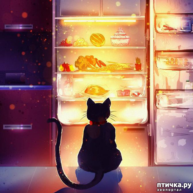 ���� 3: � ��� ���� ����� ��������� � ������������?