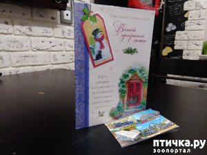 фотография: Подарочек! фото: Подарочек!