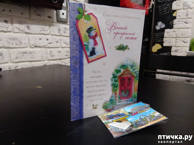 ���� 1: ���������!