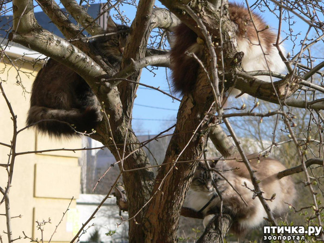 ���� 3: ������������ - ���������� ����� �����.