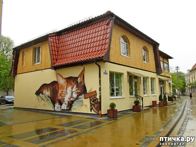 ���� 4: ������������ - ���������� ����� �����.