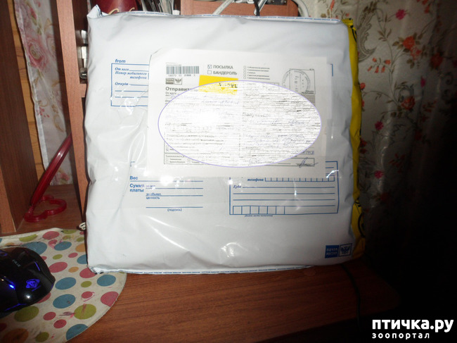 ���� 1: ��� ����� � ��� ������ �������!