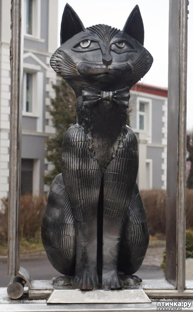 ���� 6: ������������ - ���������� ����� �����.