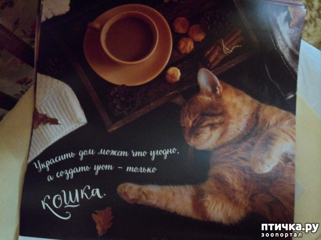 ���� 4: ��� ����� � ��� ������ �������!