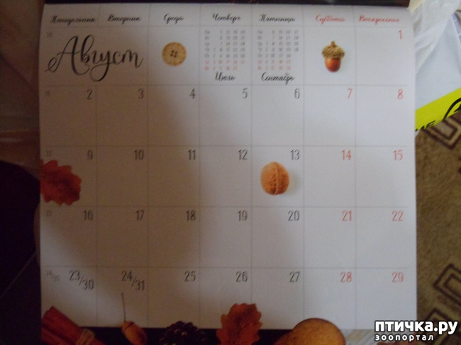 ���� 5: ��� ����� � ��� ������ �������!