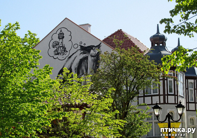 ���� 8: ������������ - ���������� ����� �����.