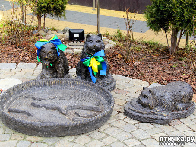 ���� 2: ������������ - ���������� ����� �����.