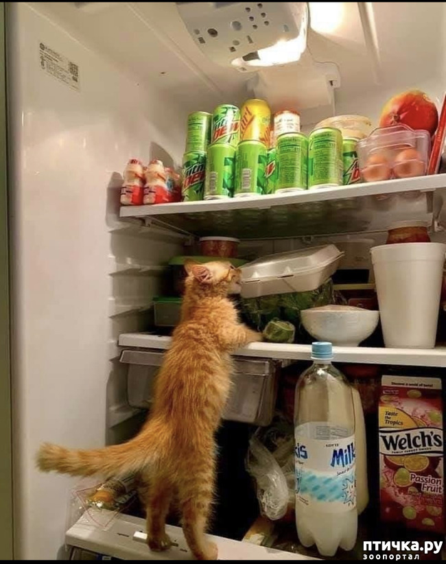 ���� 5: � ��� ���� ����� ��������� � ������������?