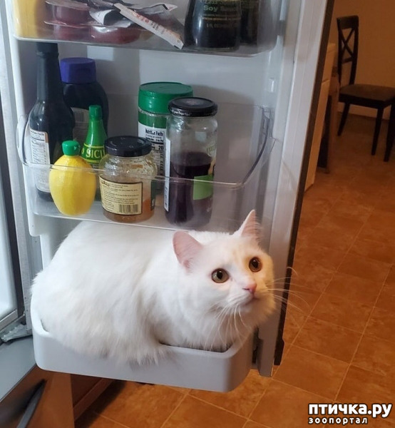 ���� 7: � ��� ���� ����� ��������� � ������������?