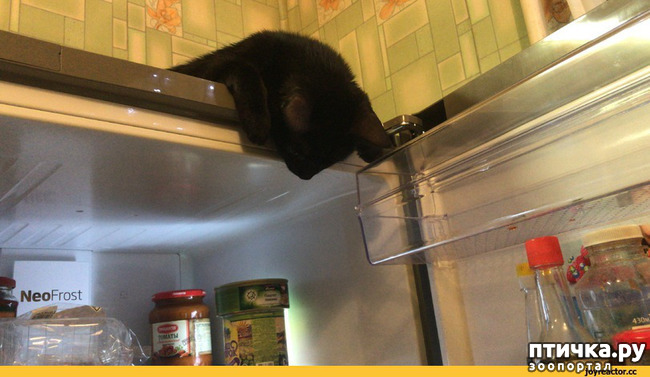 ���� 8: � ��� ���� ����� ��������� � ������������?