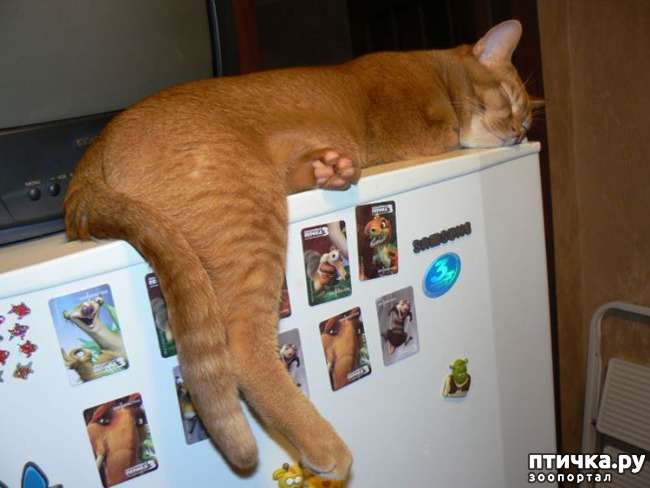 ���� 9: � ��� ���� ����� ��������� � ������������?