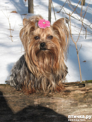 фотография: Услада души. фото: Услада души.