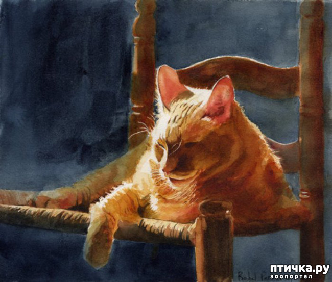 ���� 2: ����� ����