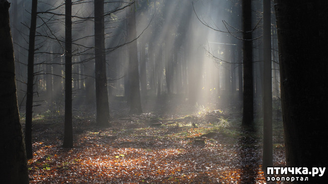 ���� 1: ����� ���� 2