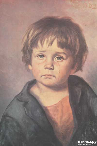 ���� 2: ����� ���� 2