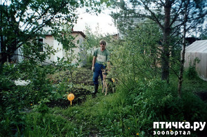 ����: ������ ����.