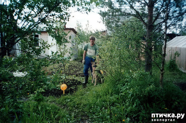 ���� 1: ������ ����.