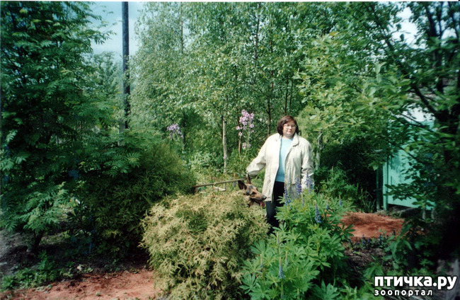 ���� 2: ������ ����.