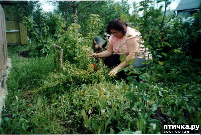 ���� 4: ������ ����.