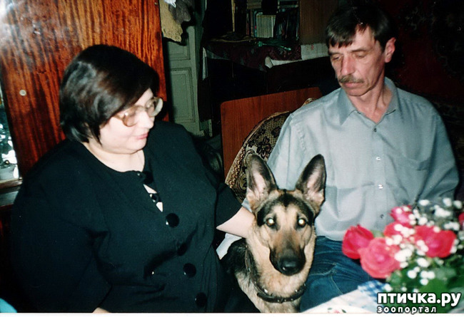 ���� 3: ������ ����.