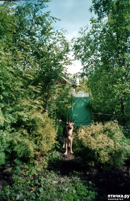 ���� 5: ������ ����.