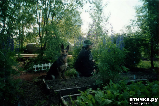 ���� 10: ������ ����.