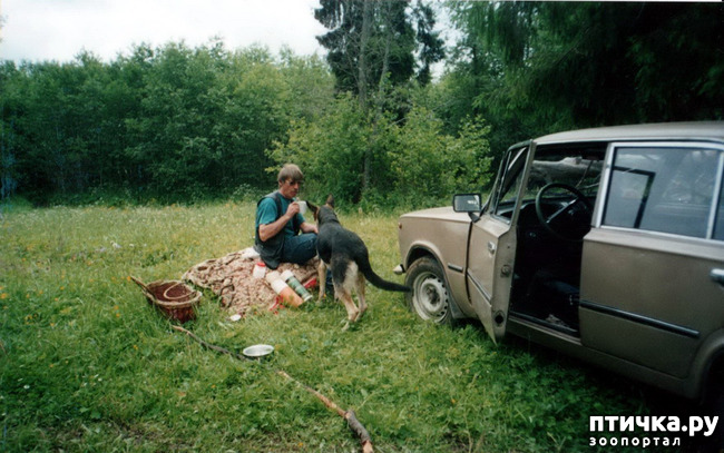 ���� 11: ������ ����.