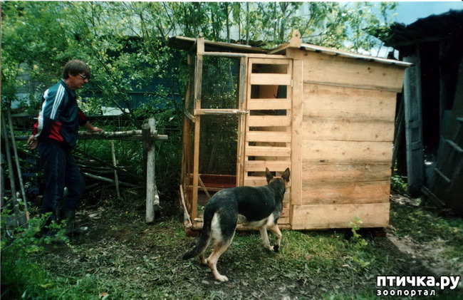 ���� 7: ������ ����.