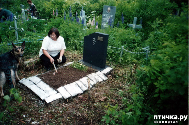 ���� 6: ������ ����.