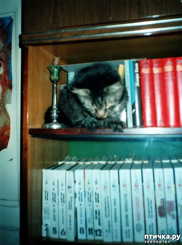 ���� 9: ������ ����.