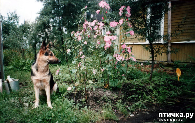 ���� 13: ������ ����.