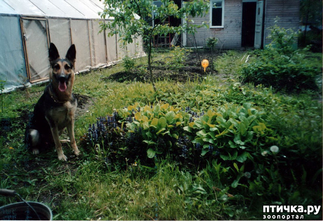 ���� 14: ������ ����.