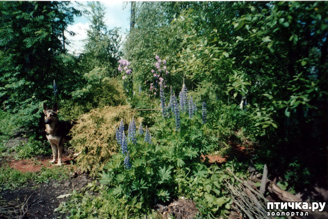 ���� 12: ������ ����.