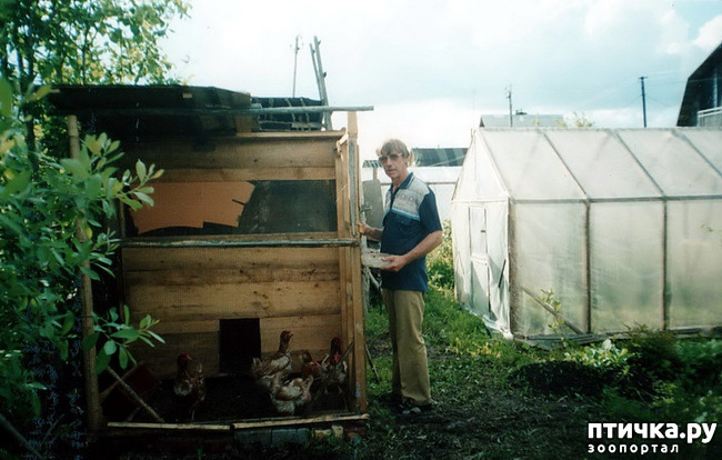 ���� 15: ������ ����.