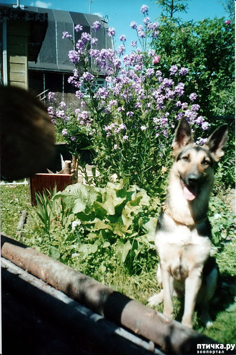 ���� 16: ������ ����.