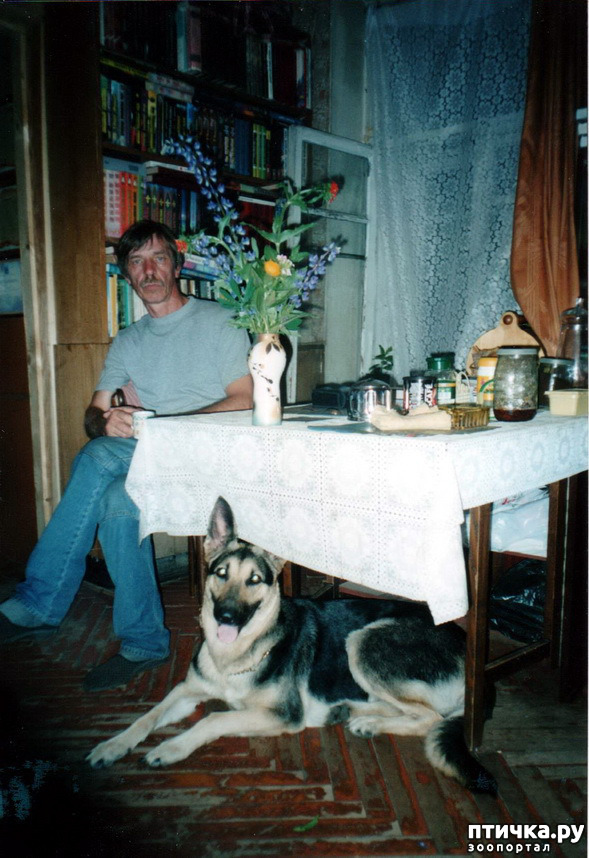 ���� 17: ������ ����.