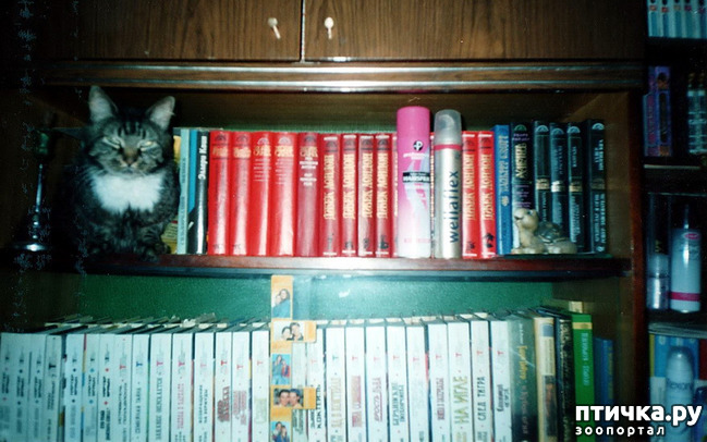 ���� 18: ������ ����.