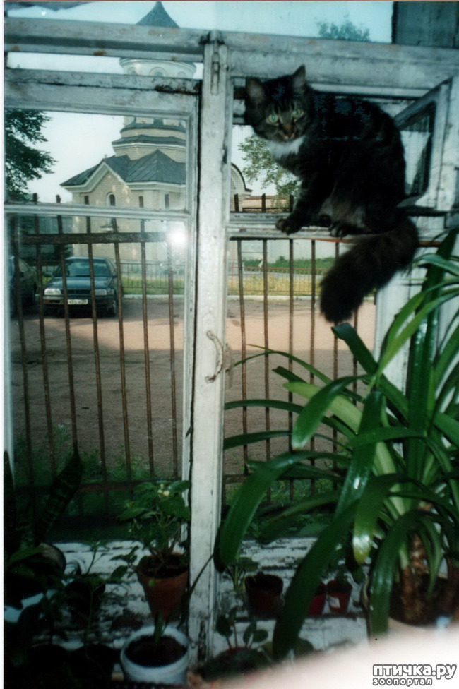 ���� 19: ������ ����.