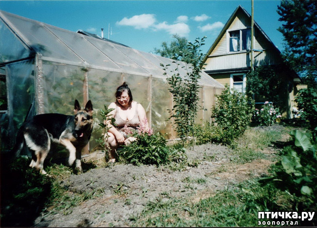 ���� 21: ������ ����.