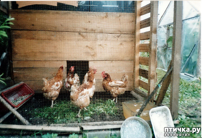 ���� 20: ������ ����.