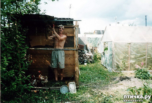 ���� 23: ������ ����.