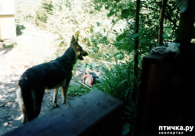 ���� 22: ������ ����.